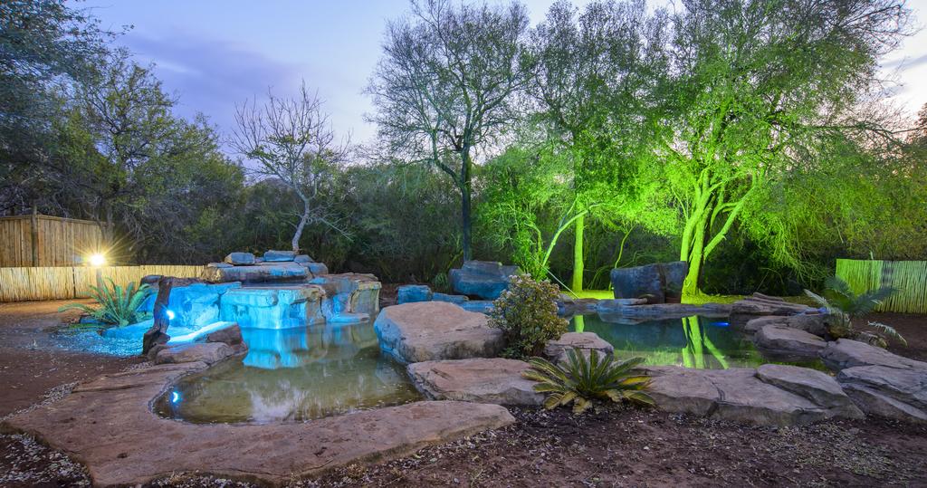 Click To View More Pictures