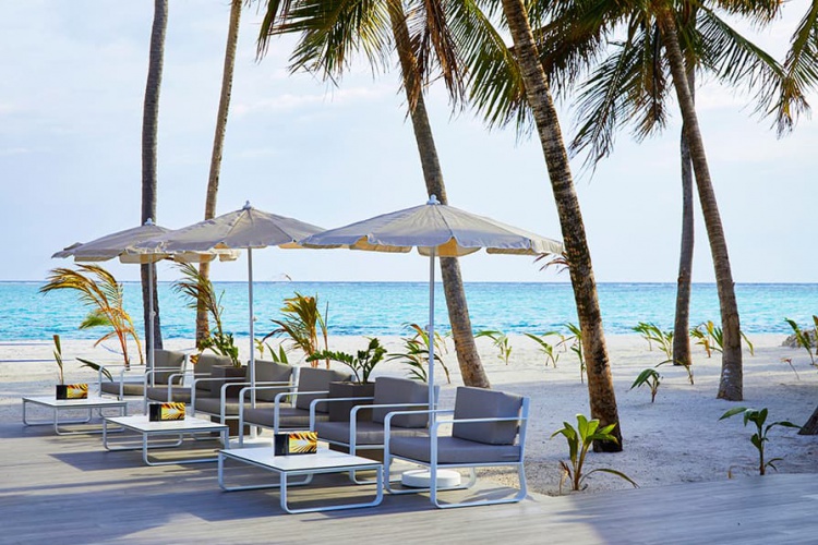 Click To View More Pictures